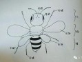 对蜜蜂构造的详细分解（如何理解蜜蜂形态结构与功能相适应的概念）