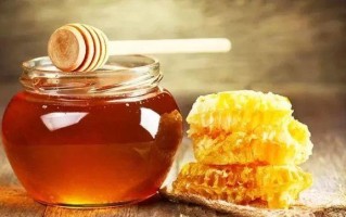 蜜蜂和生姜可以减肥不反弹（蜜蜂和生姜有美白祛斑的效果吗）