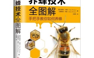 蜜蜂养殖管理方法视频（蜜蜂养殖管理方法视频教学）