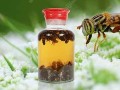 蜜蜂理疗副作用（蜜蜂疗法是真的吗）