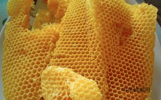 如何保存蜜蜂腊脾（蜜蜂腊有什么用途）