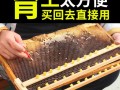 蜜蜂工具批发市场在哪（蜜蜂工厂）
