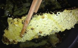 蜂蜜蜜蜂巢是什么病的（蜂蜜的巢怎么形成）