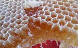 蜂蜜蜂巢了是什么意思（蜂巢蜂蜜的蜂巢能吃吗）