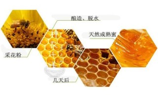 蜜蜂是什么生产蜂蜜的（蜜蜂的蜂蜜是从哪里来的）