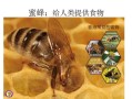 蜜蜂产品的功效视频（蜜蜂攻效与作用）