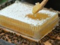 蜜蜂巢有消炎作用吗（蜜蜂巢有消炎作用吗能吃吗）