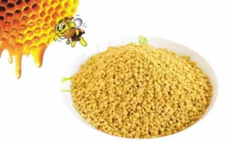 蜜蜂花粉都治什么病（蜜蜂花粉有什么作用）