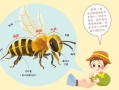 怎样从蜜蜂世界走出来（蜜蜂如何飞来飞去）