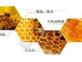 蜂蜜对蜜蜂有什么用处（蜂蜜对蜜蜂有什么用处和功效）