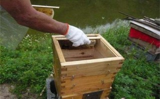 蜜蜂在夏季可以过箱吗（夏天蜜蜂可以换箱吗）