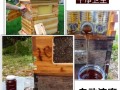 蜜蜂自动取蜜箱哪里买（蜂蜜自动收集蜂箱）