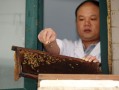 蜜蜂冶疗法那家好（蜜蜂治病视频）