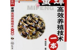 蜜蜂养殖法（蜜蜂养殖技术）