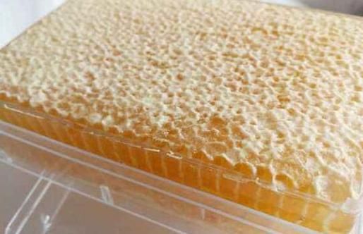 新巢蜜蜂巢蜜（蜂巢蜜新巢好还是老巢好）-第1张图片-新疆蜂业信息网