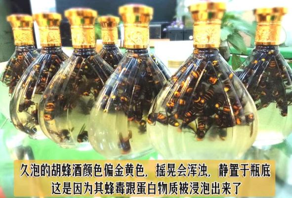 用蜜蜂泡酒的比例（蜜蜂泡酒的比例是多少）-第3张图片-新疆蜂业信息网