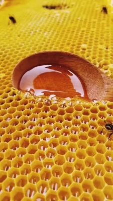 蜜蜂怎么吃方法（蜜蜂怎么吃蜂蜜）-第1张图片-新疆蜂业信息网