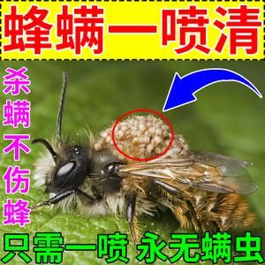 蜜蜂治螨关王多少天好呢（蜜蜂治螨几天一次）-第1张图片-新疆蜂业信息网
