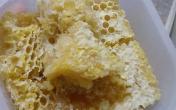 蜂蜜蜂巢的处理方法（蜂蜜蜂巢的处理方法是什么）-第2张图片-新疆蜂业信息网