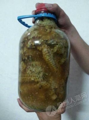 如何用蜜蜂渣泡酒（密蜂渣可以泡洒）-第2张图片-新疆蜂业信息网
