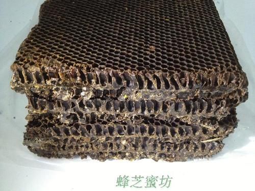 蜜蜂蜂巢是什么材料（蜜蜂蜂巢是什么材料制作的）-第2张图片-新疆蜂业信息网