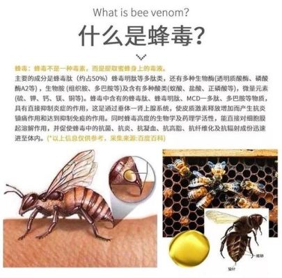 蜜蜂毒液是酸性强还是弱（毒蜂的毒液是酸性还是碱性）-第3张图片-新疆蜂业信息网