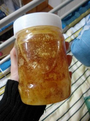 蜜蜂结晶土蜂蜜（土蜂蜜结晶后是什么颜色）-第1张图片-新疆蜂业信息网
