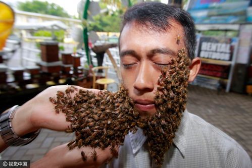 蜜蜂如何涂脸（蜜蜂脸上怎么用）-第1张图片-新疆蜂业信息网