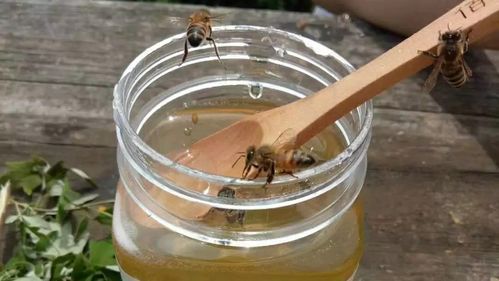 蜜蜂加茶叶水做面膜吗（蜜蜂加茶叶水做面膜吗怎么做）-第3张图片-新疆蜂业信息网