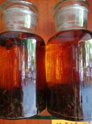 蜜蜂酒治疗痛风（蜜蜂酒治疗痛风有用吗）-第1张图片-新疆蜂业信息网