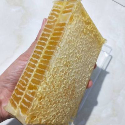 蜜蜂巢能不能泡水喝（蜜蜂巢可以泡水喝吗）-第1张图片-新疆蜂业信息网
