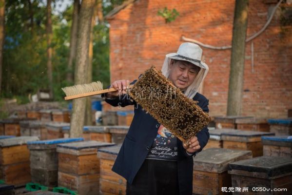 养中华蜜蜂的人（养中华蜜蜂的人多吗）-第1张图片-新疆蜂业信息网