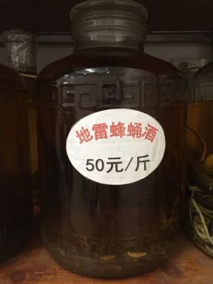 地蜜蜂泡酒（地蜜蜂泡酒有什么功效）-第1张图片-新疆蜂业信息网
