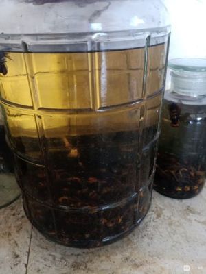 地蜜蜂泡酒（地蜜蜂泡酒有什么功效）-第2张图片-新疆蜂业信息网