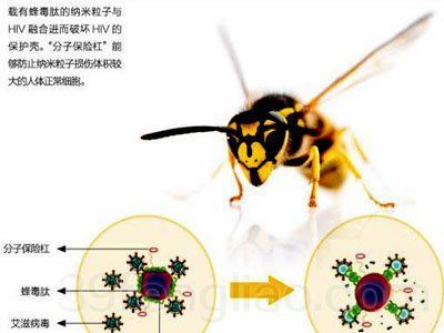 蜜蜂蜂毒酸碱（蜜蜂蜂毒酸碱性）-第3张图片-新疆蜂业信息网