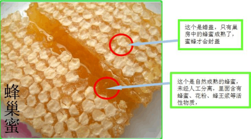 怎样分别蜜蜂真假（蜜蜂怎么看真假）-第3张图片-新疆蜂业信息网