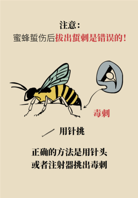 蜜蜂什么季节容易蜇人（蜜蜂什么季节容易蜇人呢）-第1张图片-新疆蜂业信息网