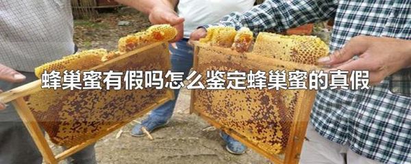 假蜂蜜蜂巢（有假蜂巢蜜吗?）-第2张图片-新疆蜂业信息网