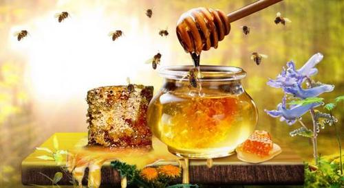 蜂蜜喂蜜蜂最佳配方（蜂蜜喂蜜蜂要加水吗）-第1张图片-新疆蜂业信息网