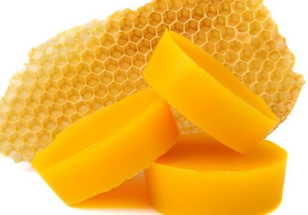 蜜蜂腊蜡是怎样荆的（蜜蜂 蜡）-第2张图片-新疆蜂业信息网