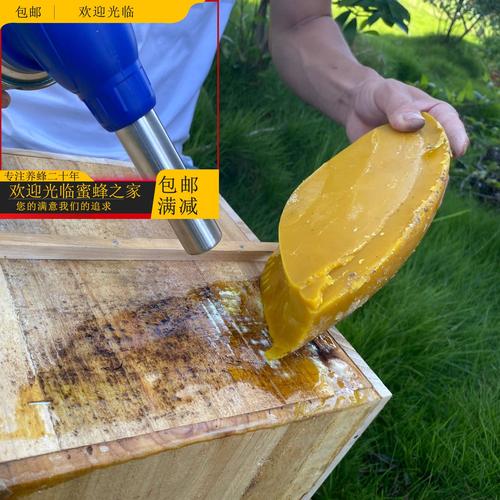 蜜蜂腊蜡是怎样荆的（蜜蜂 蜡）-第3张图片-新疆蜂业信息网