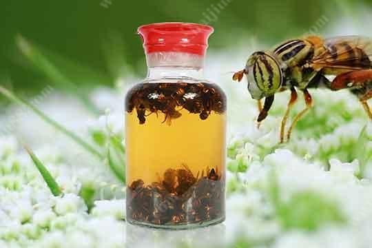 蜜蜂理疗副作用（蜜蜂疗法是真的吗）-第1张图片-新疆蜂业信息网